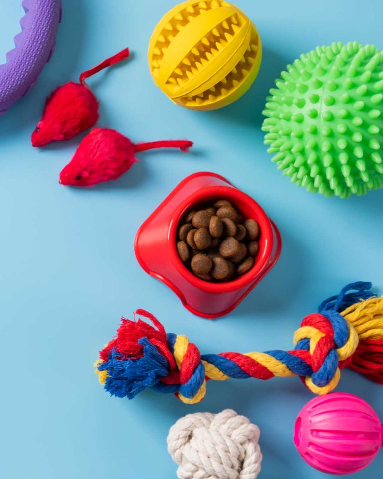 Sakarya kedi maması