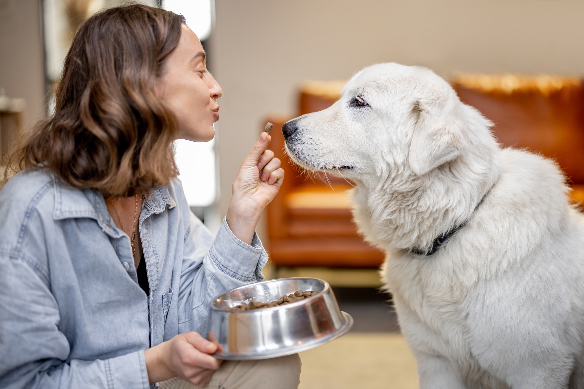 woman-feeding-a-dog-with-dry-food.jpg