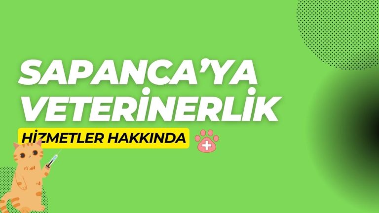 Sapanca veteriner hizmeti
