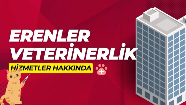 Erenler acil veteriner