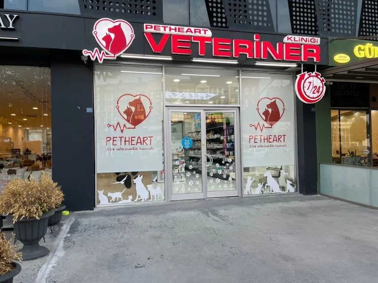 Acil Durum Rehberi ve Klinik Seçimi – Petheart | Sakarya Veteriner