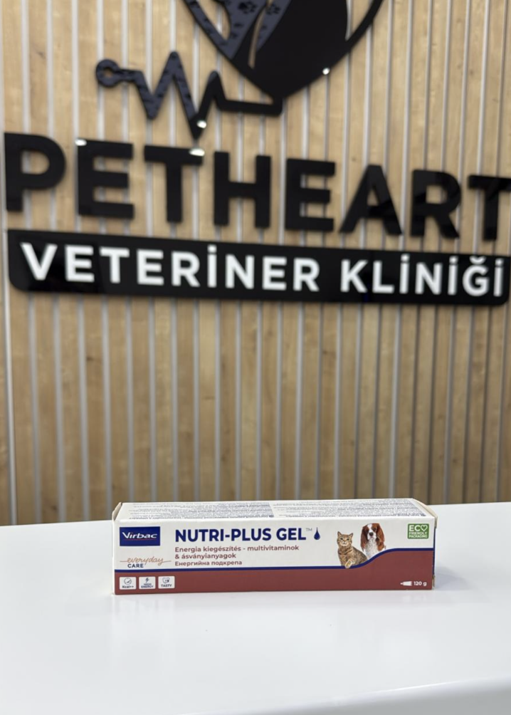 Kedi ve köpekler için özel formüle edilmiş dermatolojik ve tüy sağlığı vitaminleri