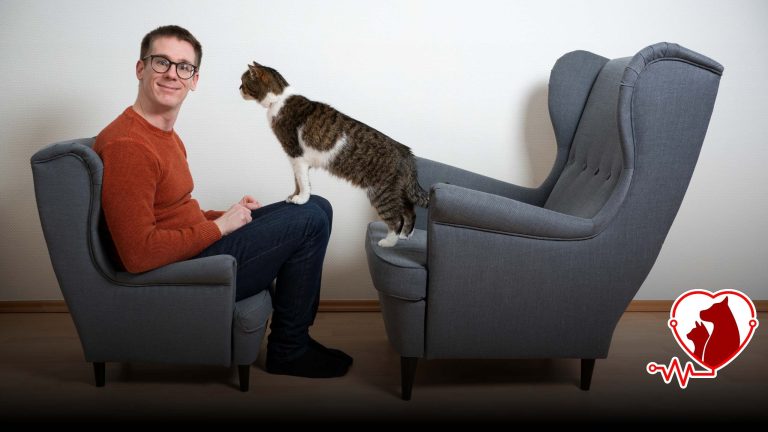 Sakarya en iyi kedi veterineri yorumları